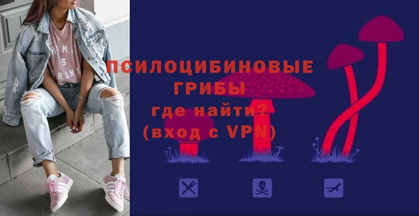 мдпв Краснотурьинск
